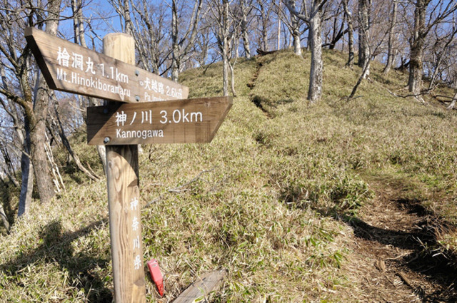 矢駄尾根分岐